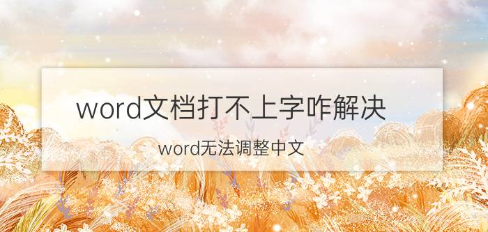 word文档打不上字咋解决 word无法调整中文？